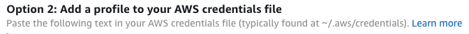 AWS SSO Credentials